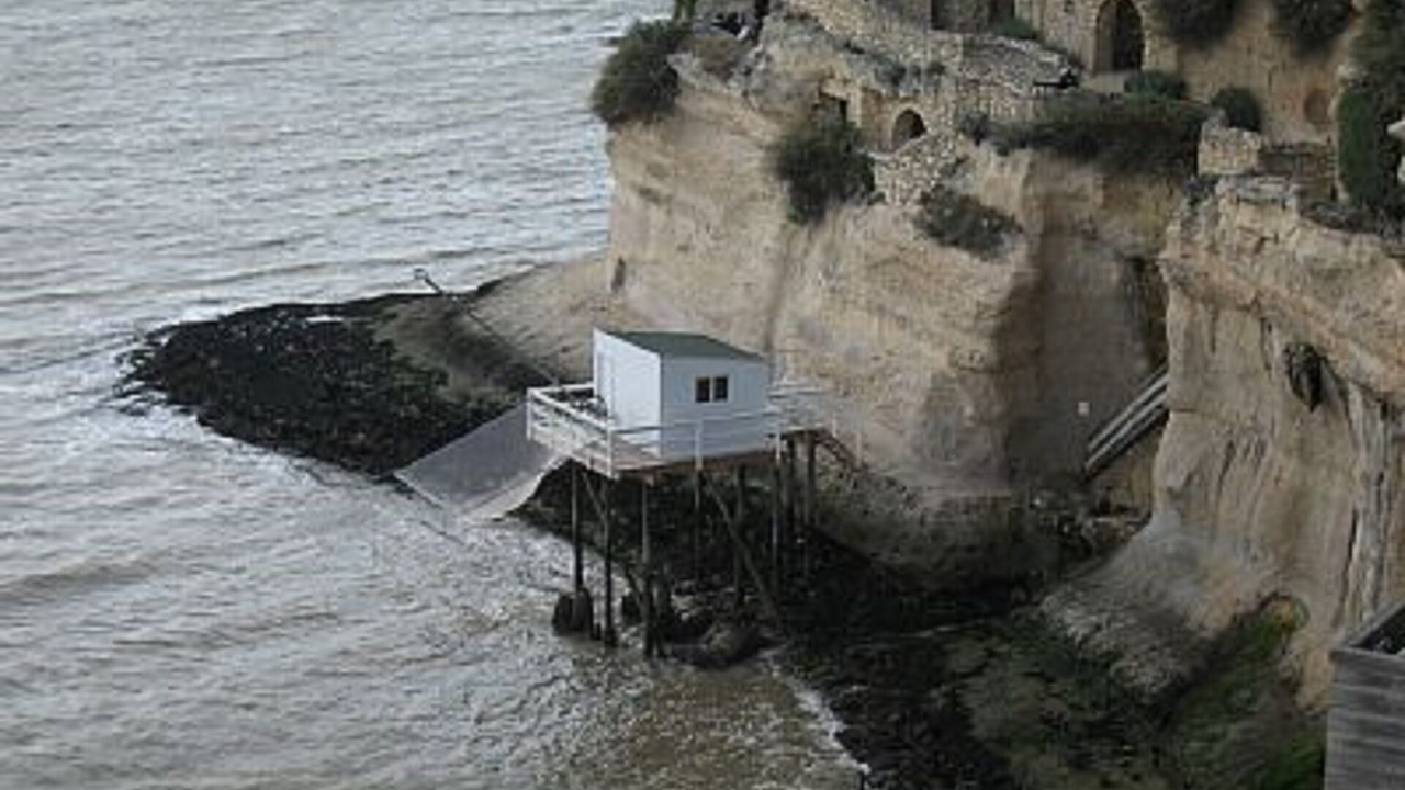 Photo of Others in Saint-Fort-sur-Gironde