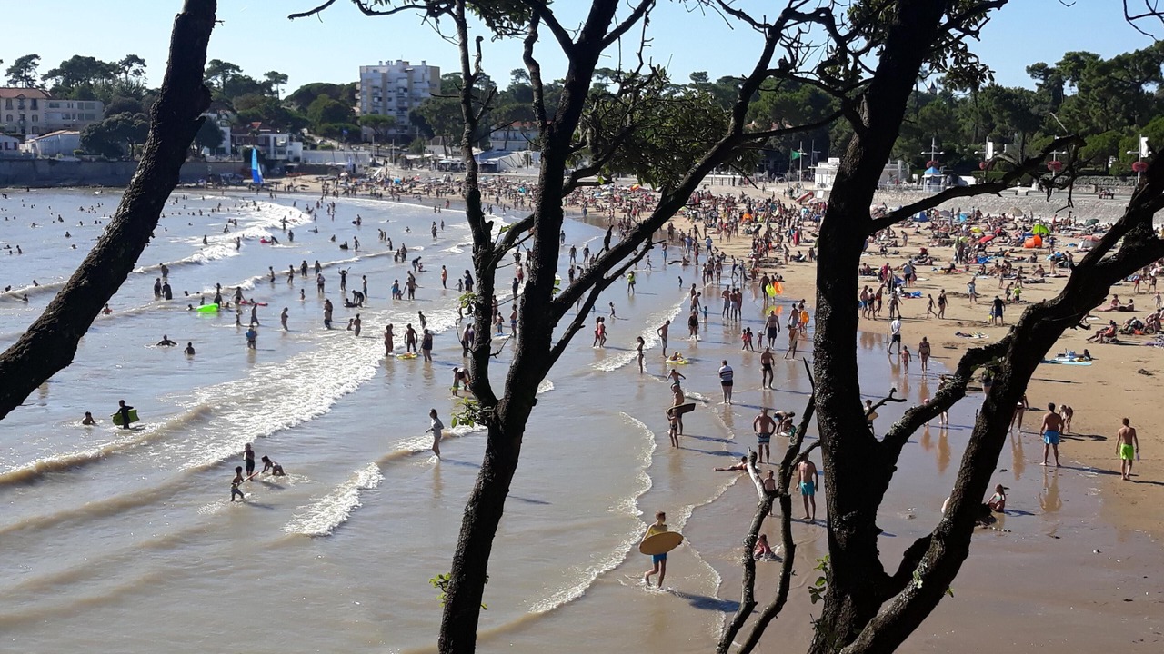 Photo of Others in Saint-Palais-sur-Mer