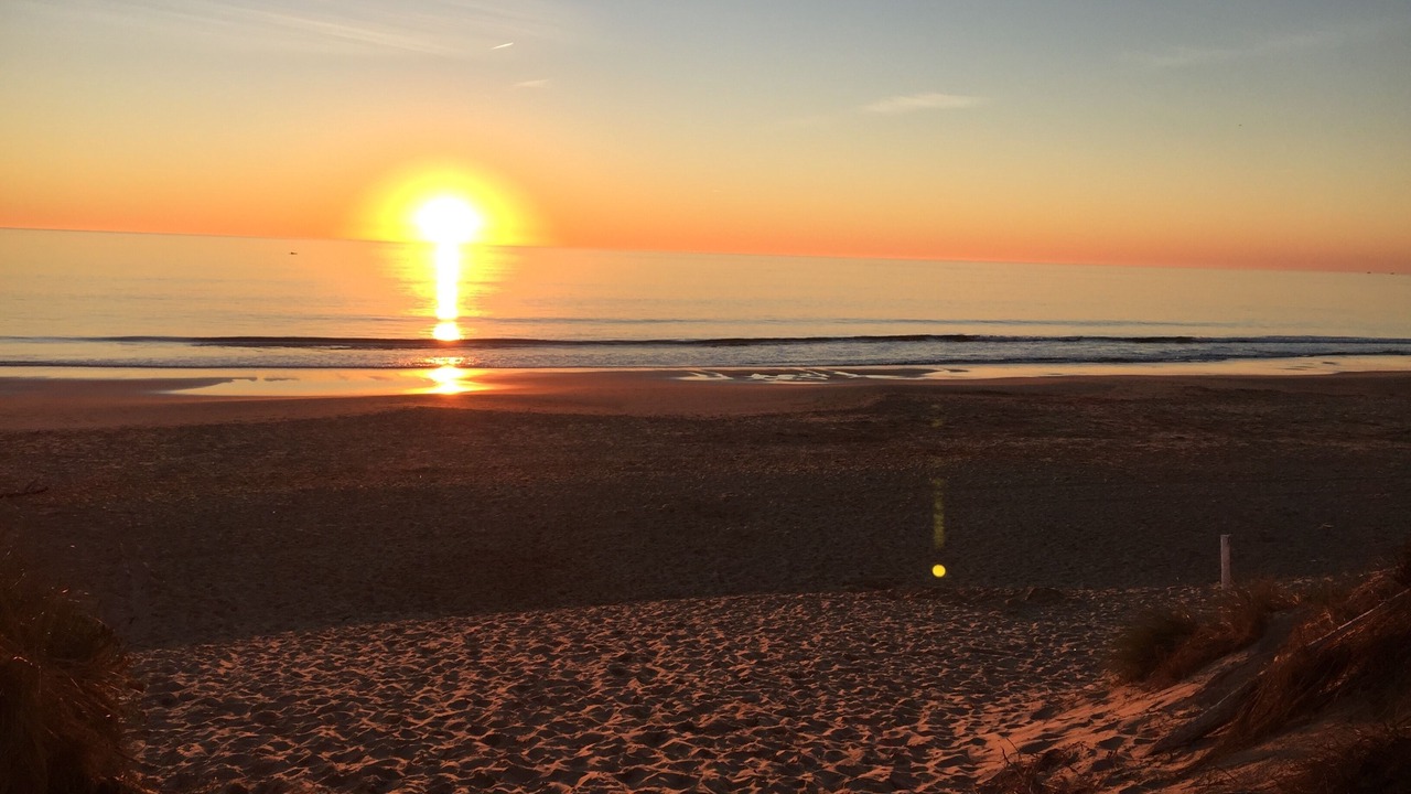 Photo of Others in Dolus-d'Oleron