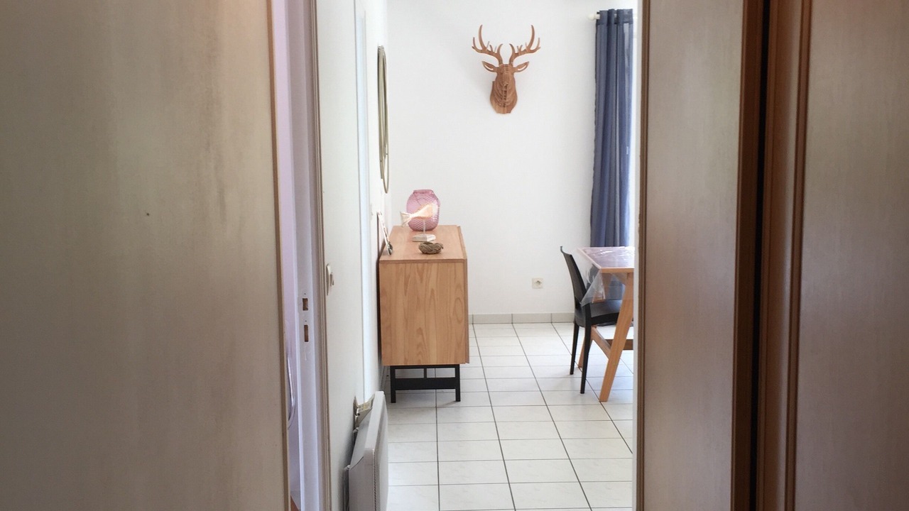 Photo of Others in Dolus-d'Oleron