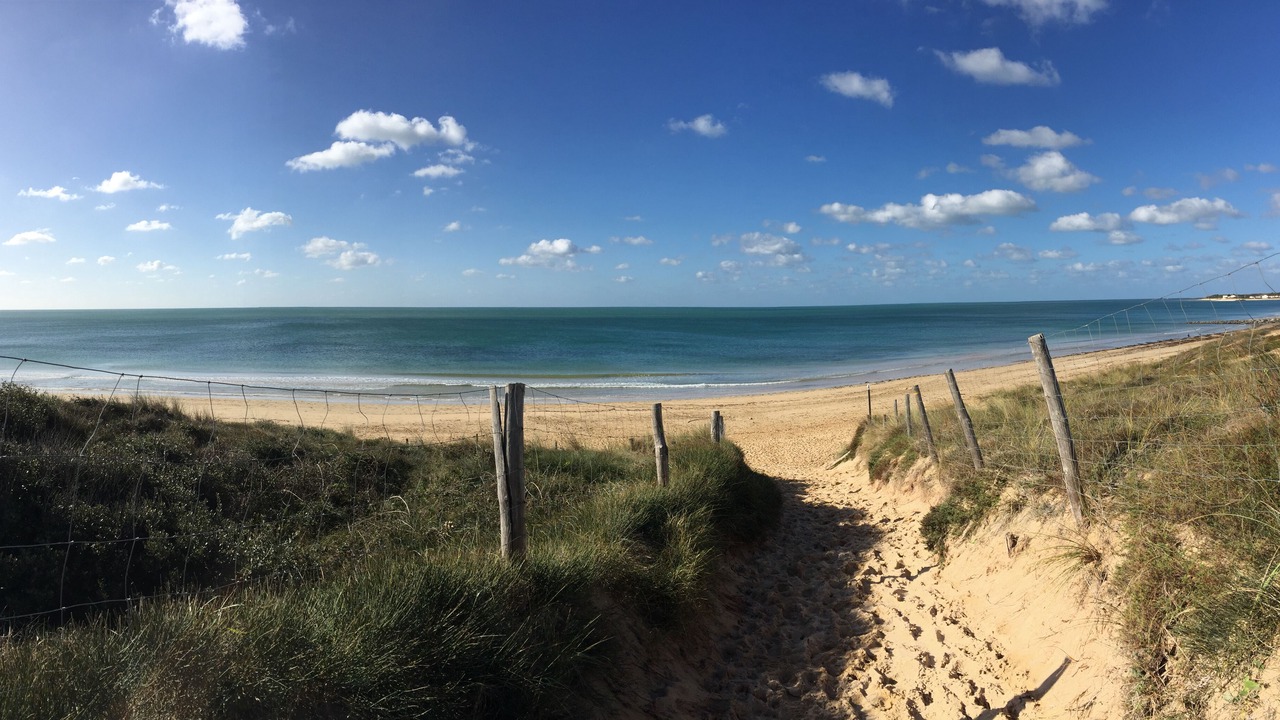 Photo of Others in Dolus-d'Oleron