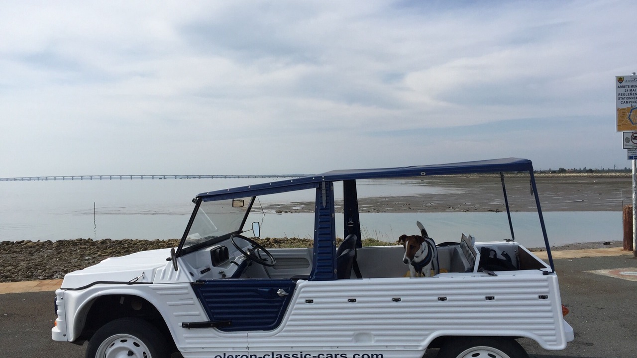 Photo of Others in Dolus-d'Oleron