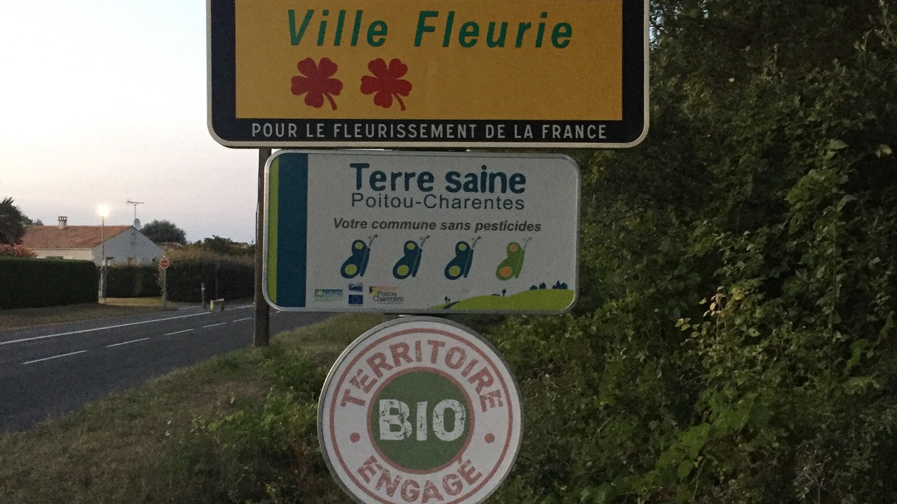 Photo of Outdoor in Dolus-d'Oleron