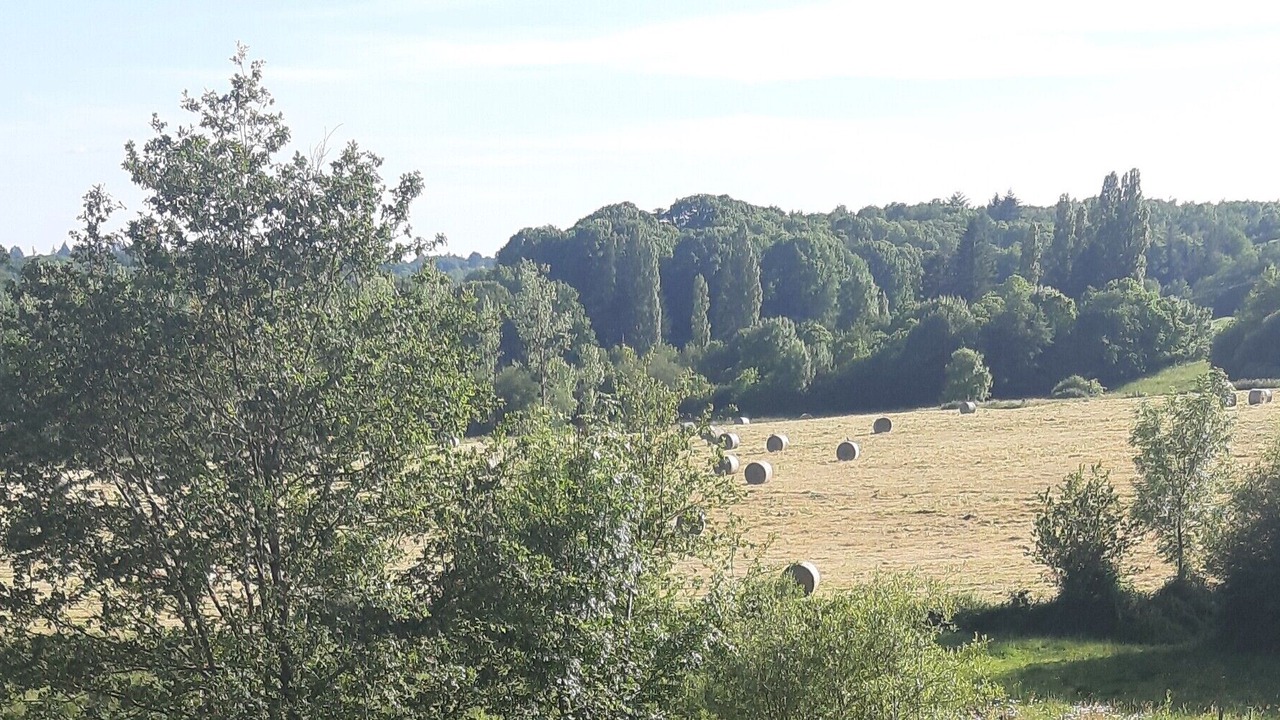 Photo of Outdoor in Massignac