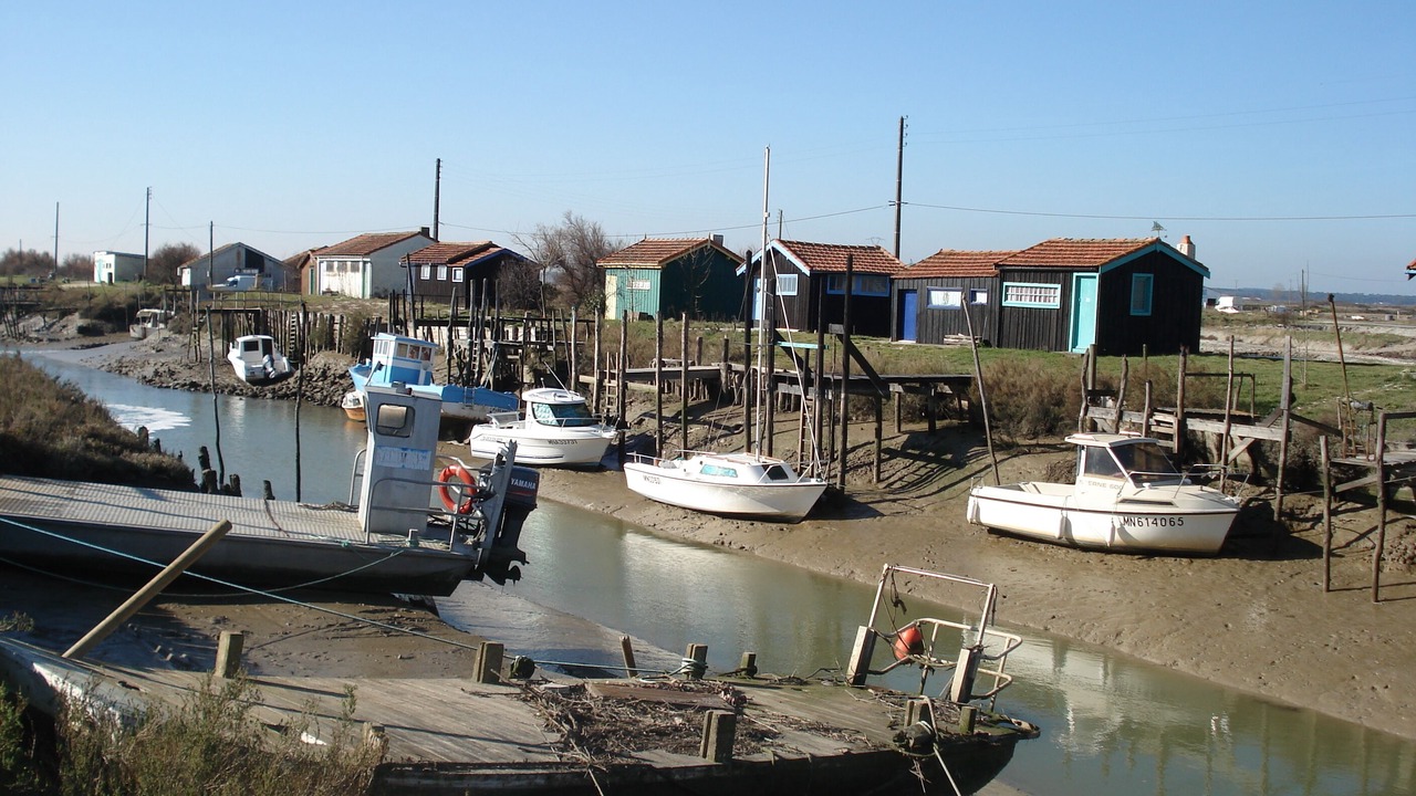 Photo of Others in Marennes
