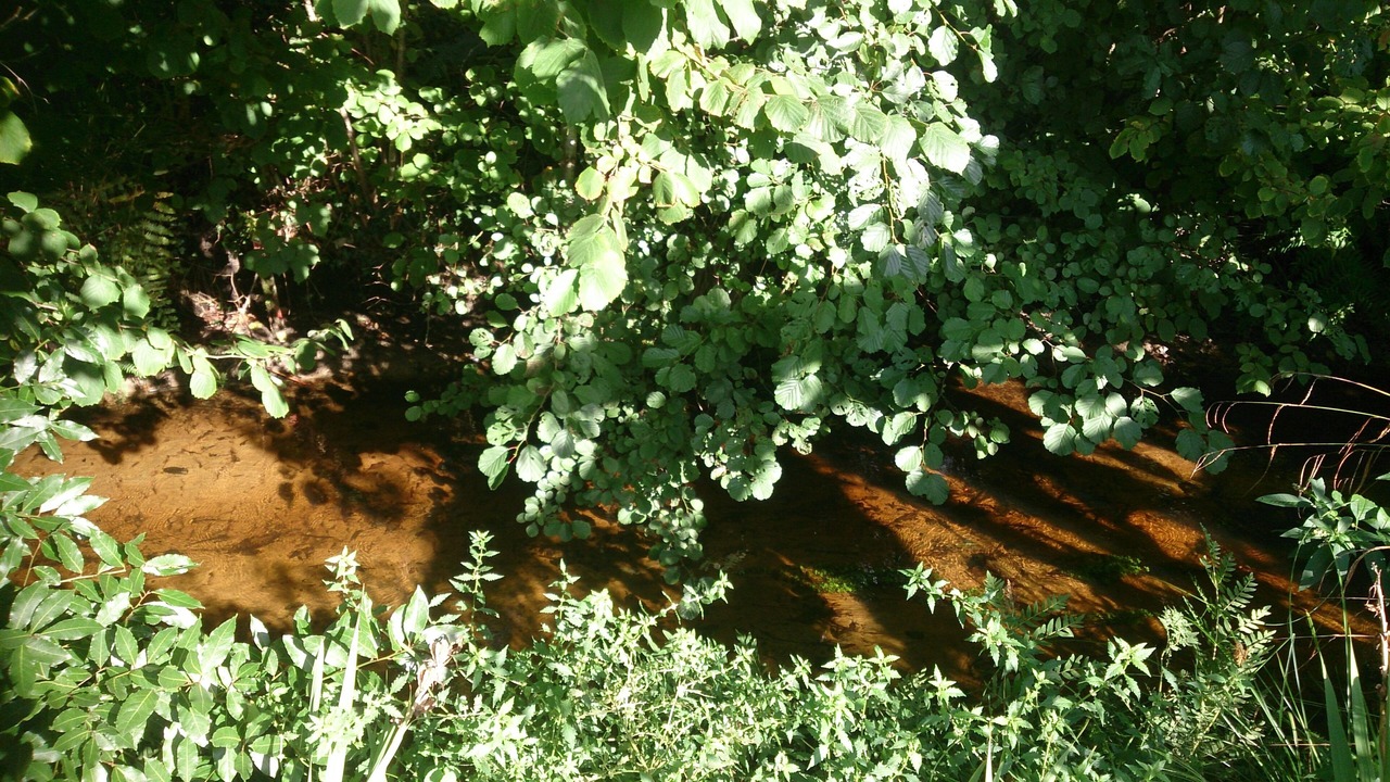 Photo of Outdoor in Messanges