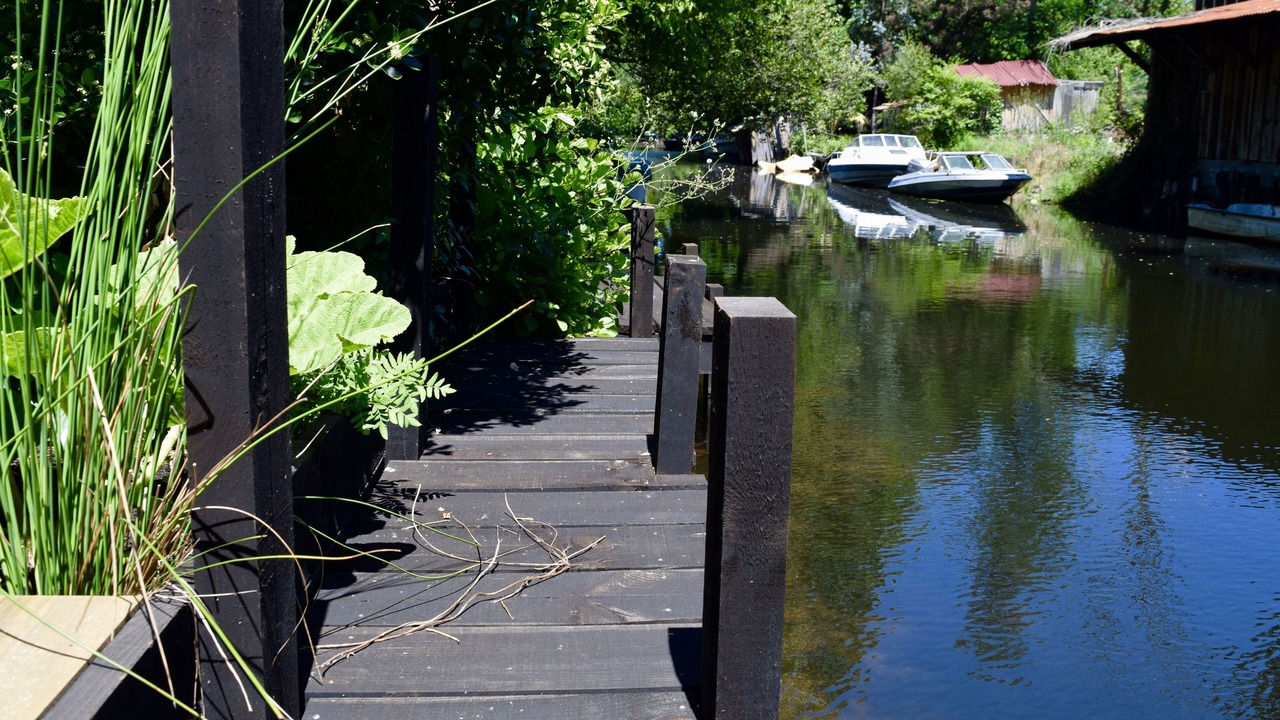 Photo of Outdoor in Cazaux