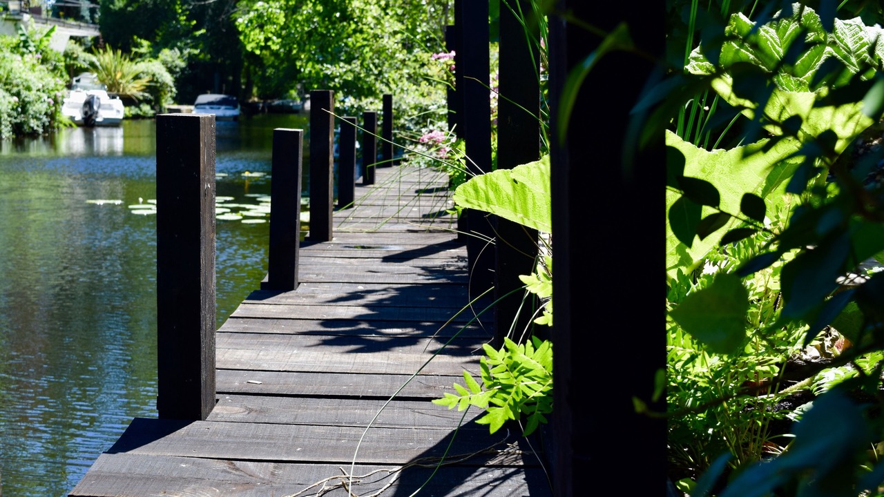 Photo of Outdoor in Cazaux