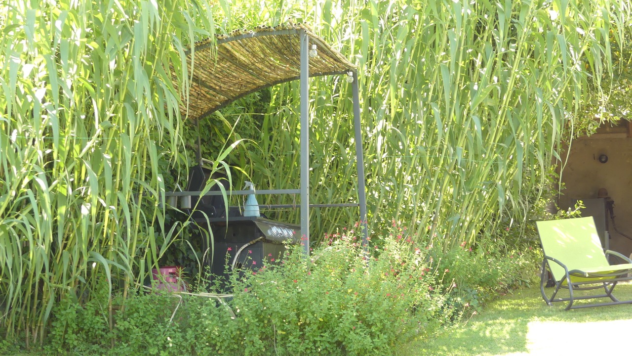 Photo of Outdoor in Heirs-Brouage