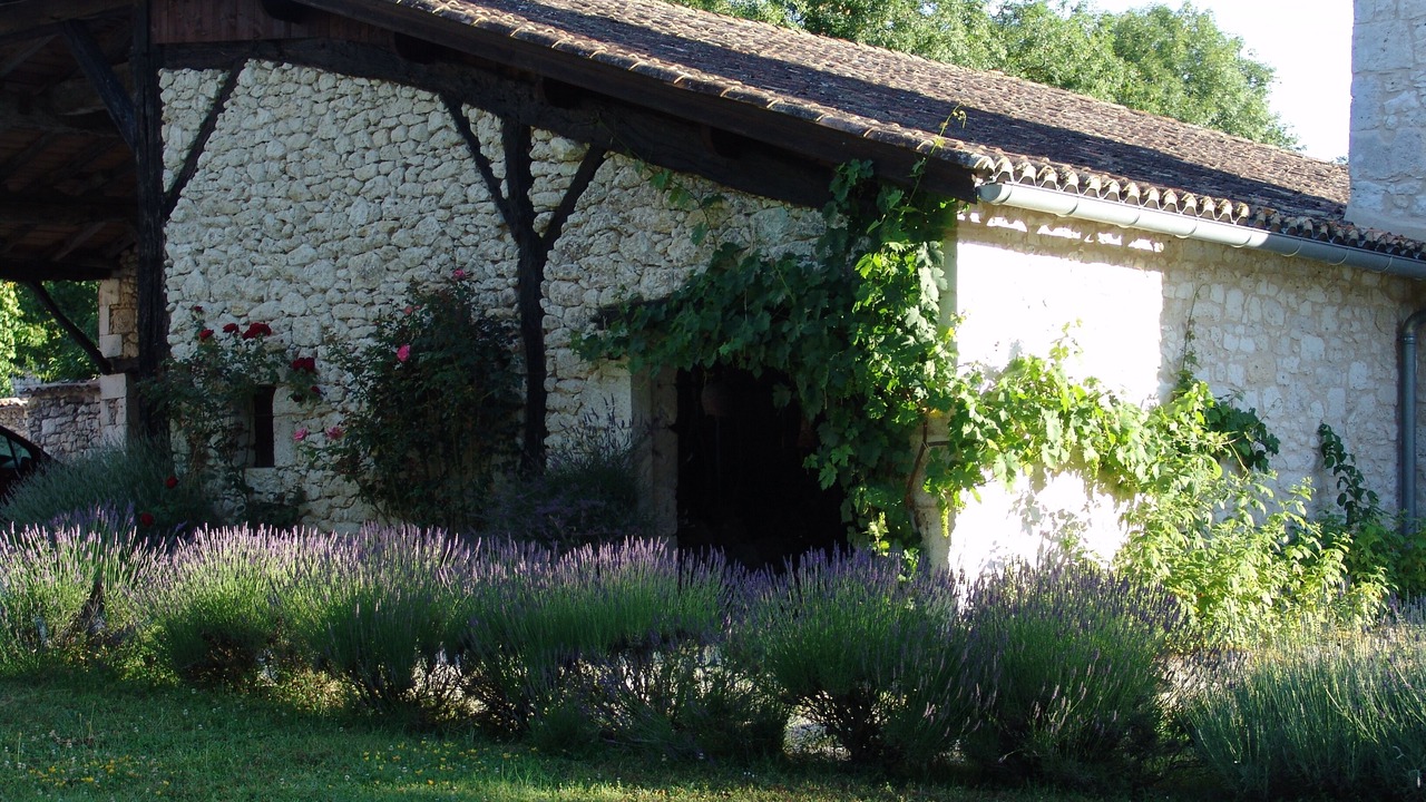 Photo of Outdoor in Plaisance