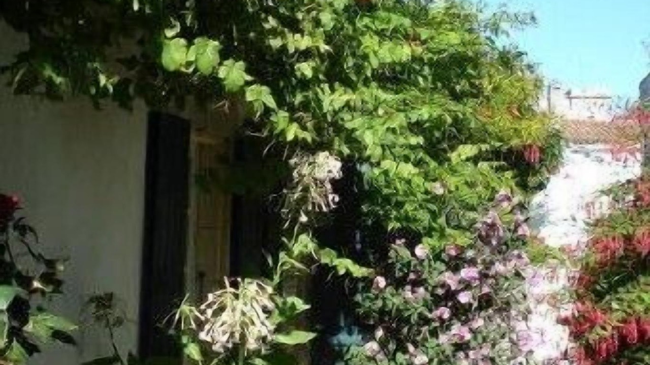 Photo of Outdoor in Saint-Martin-de-Re