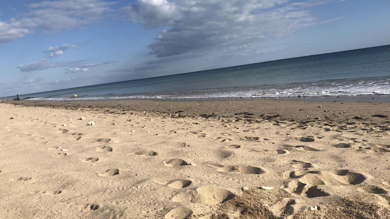 Photo of Others in Le Bois-Plage-en-Re