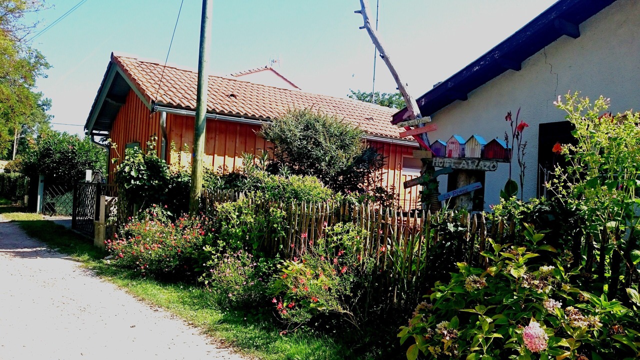 Photo of Outdoor in Lanton