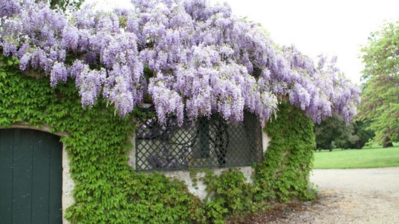 Photo of Outdoor in Port-Sainte-Foy-et-Ponchapt
