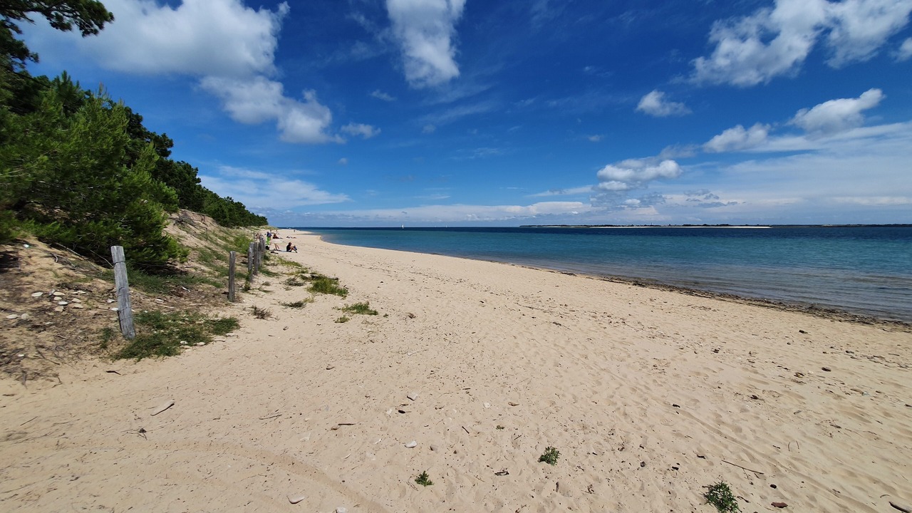 Photo of Others in Saint-Clement-des-Baleines