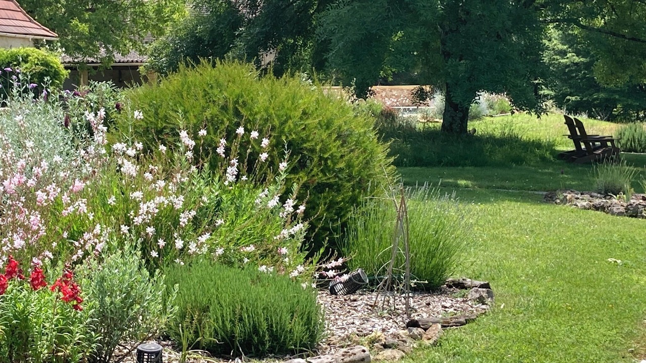 Photo of Outdoor in Baneuil