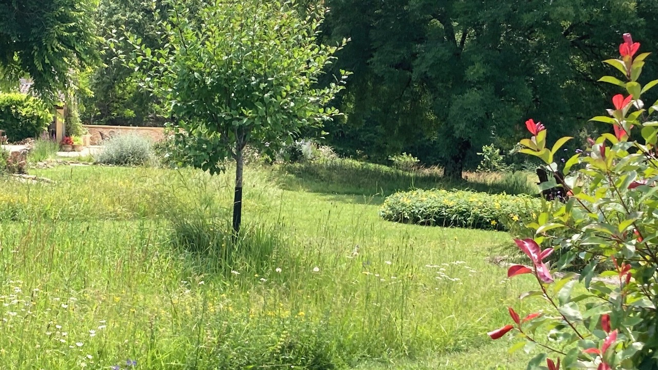 Photo of Outdoor in Baneuil