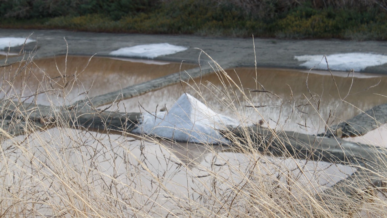 Photo of Others in Saint-Clement-des-Baleines