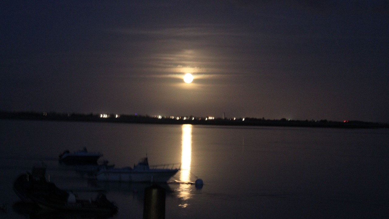 Photo of Others in Saint-Clement-des-Baleines