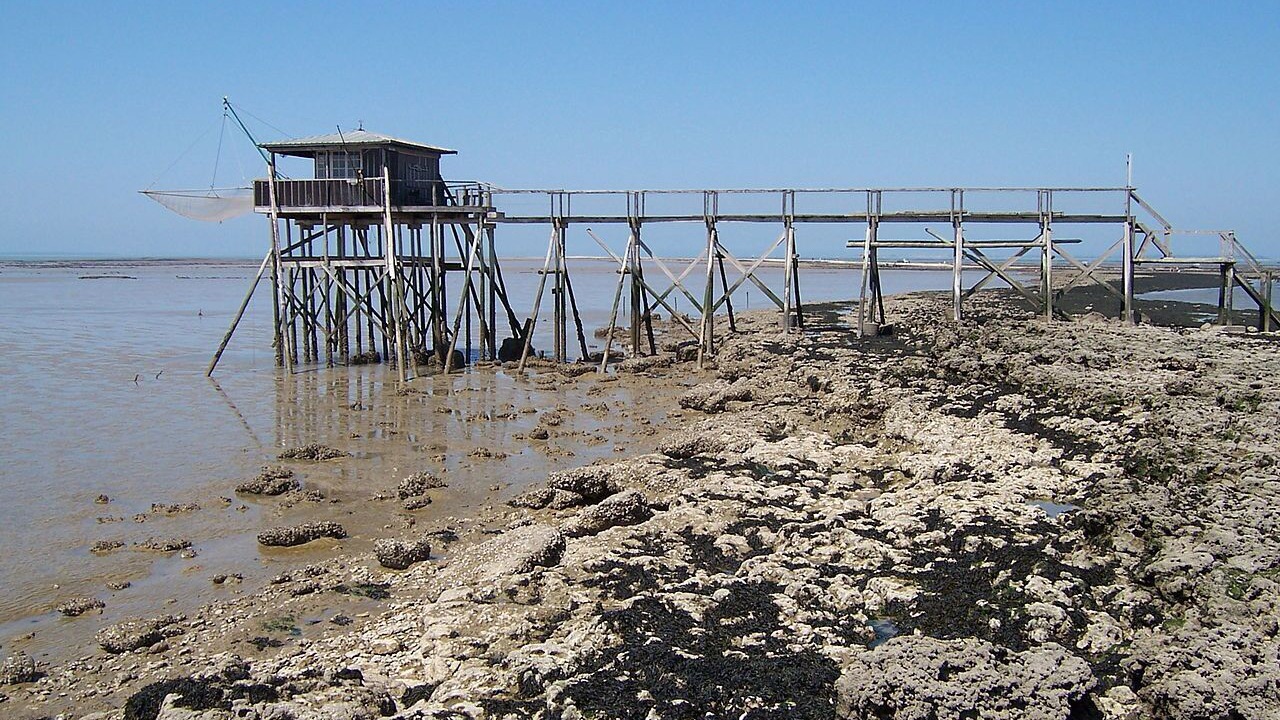 Photo of Others in Vaux-sur-Mer