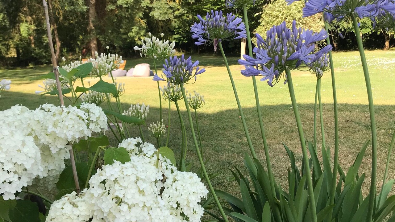 Photo of Outdoor in Brioux-sur-Boutonne
