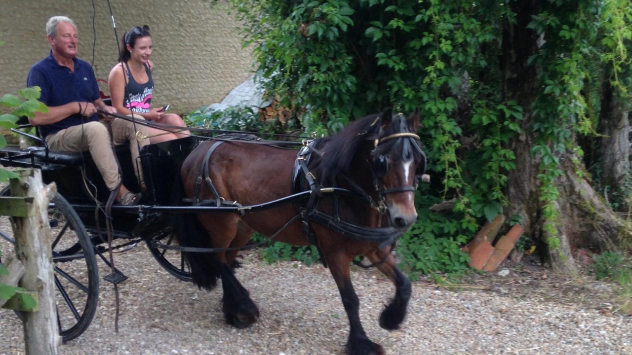 Photo of Others in Montmoreau-Saint-Cybard