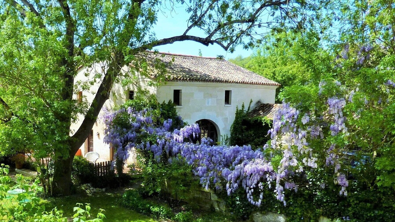Photo of Outdoor in La Courade