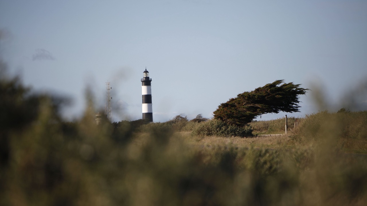 Photo of Others in Saint-Denis-d'Oleron