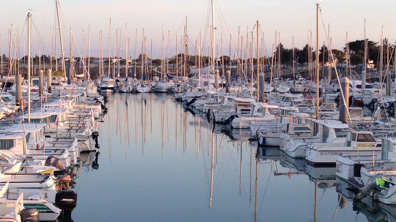 Photo of Others in Saint-Denis-d'Oleron