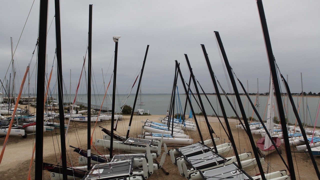 Photo of Others in Saint-Denis-d'Oleron