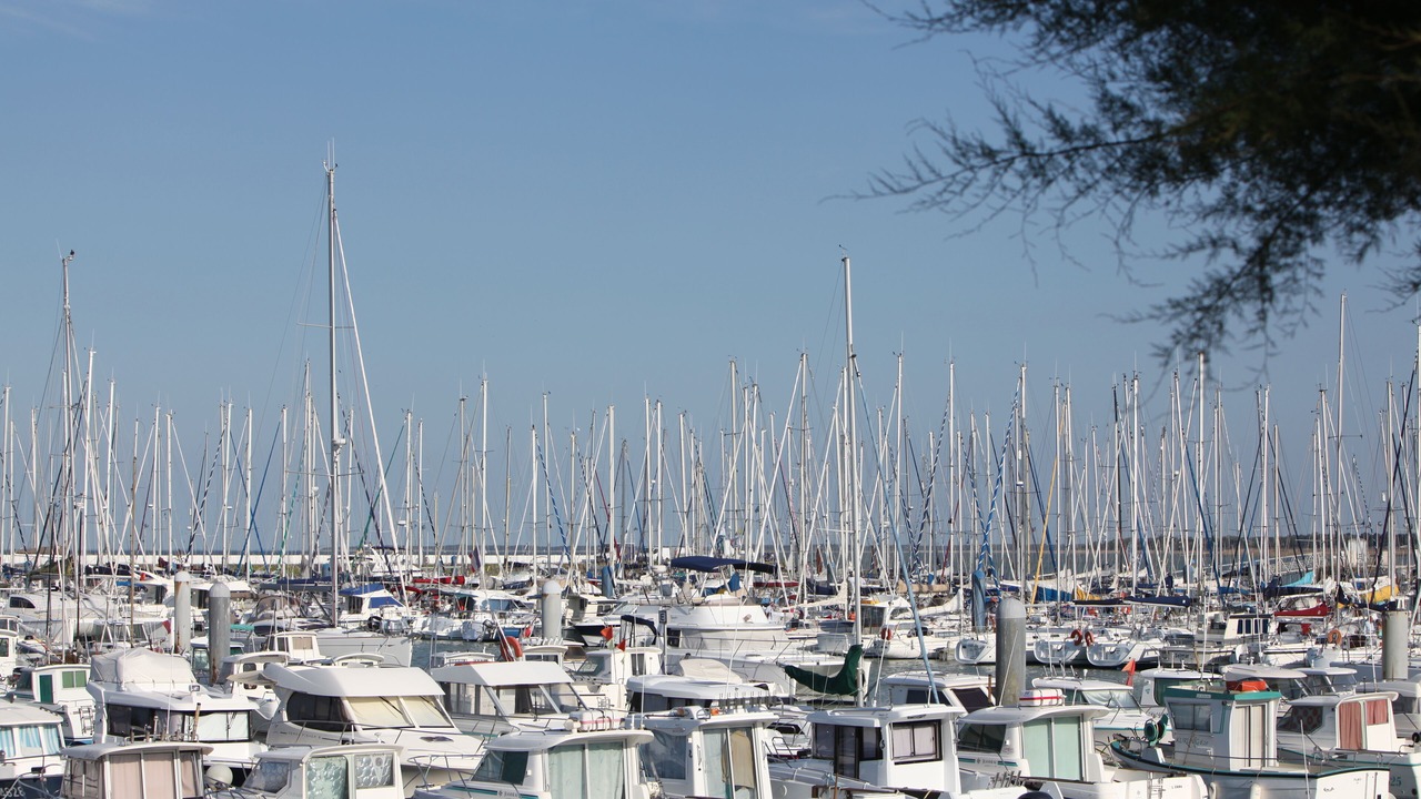 Photo of Others in Saint-Denis-d'Oleron