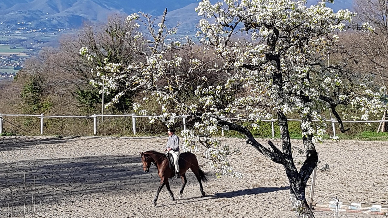 Photo of Outdoor in Borgo San Lorenzo