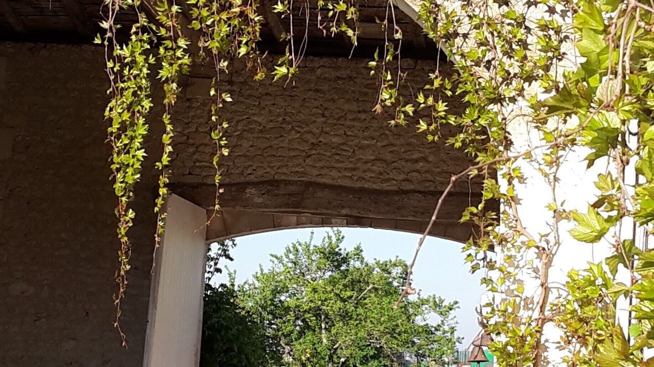 Photo of Outdoor in Touzac