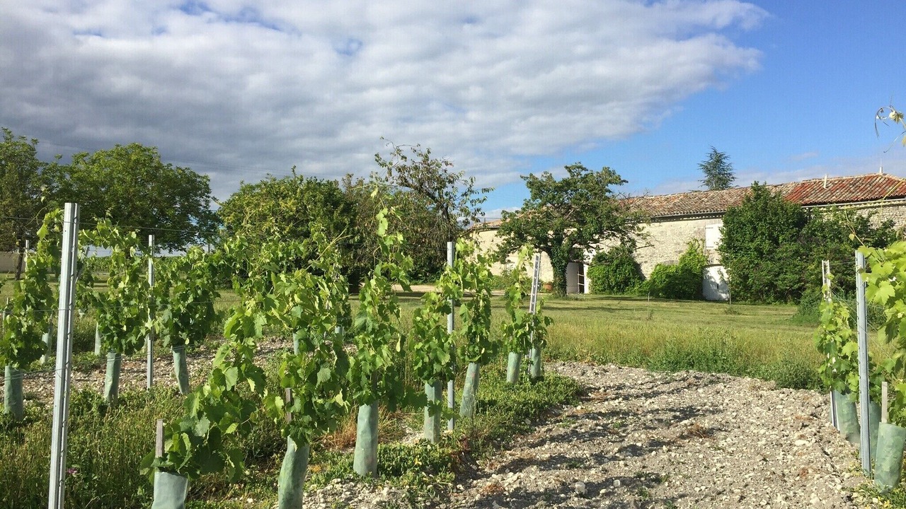 Photo of Others in Touzac