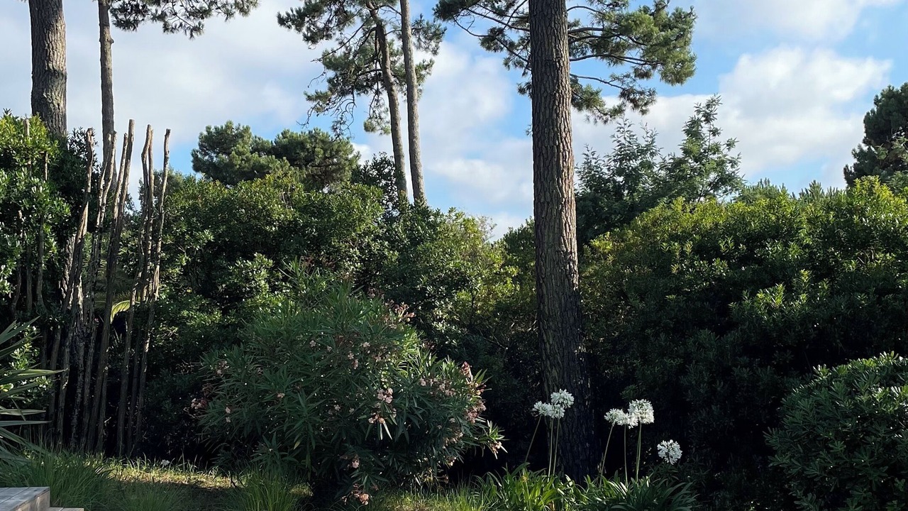 Photo of Outdoor in Le Canon