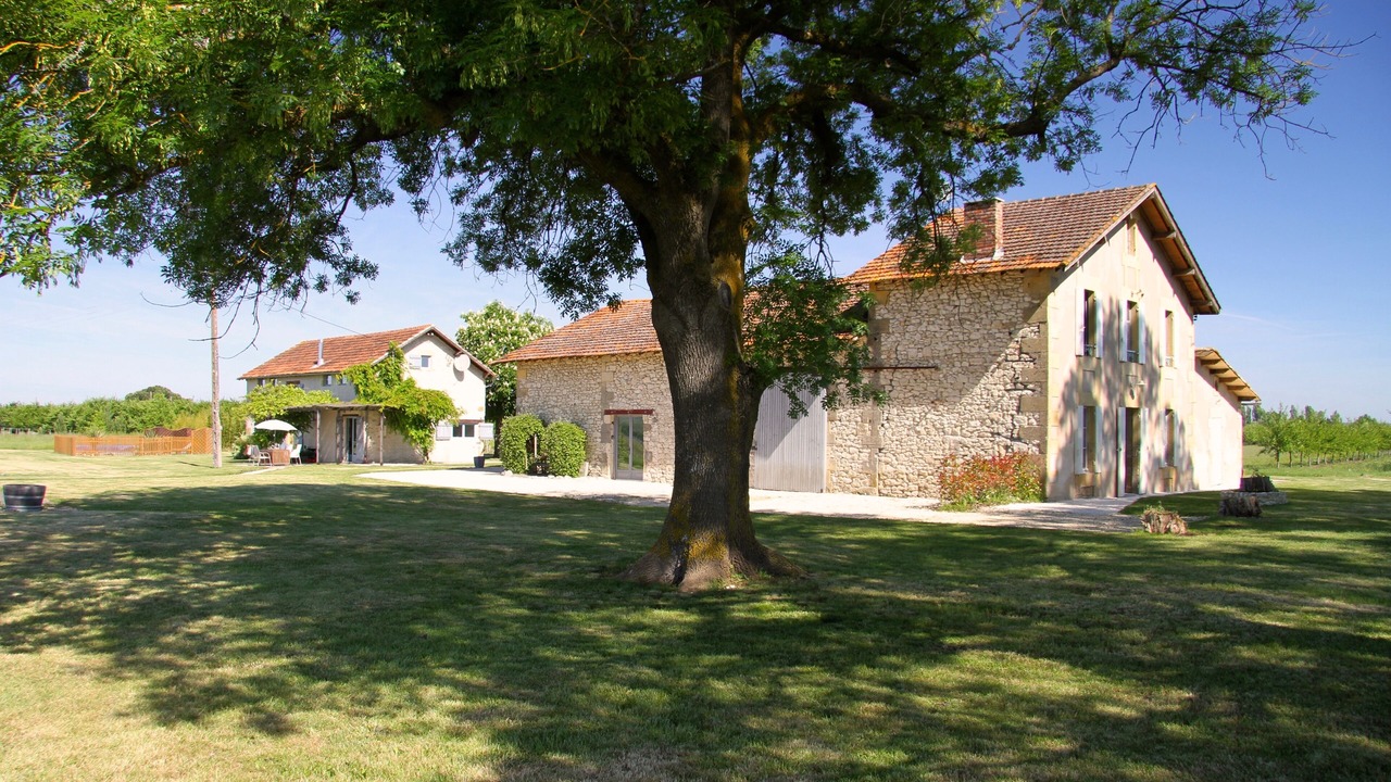 Photo of Outdoor in Saussignac