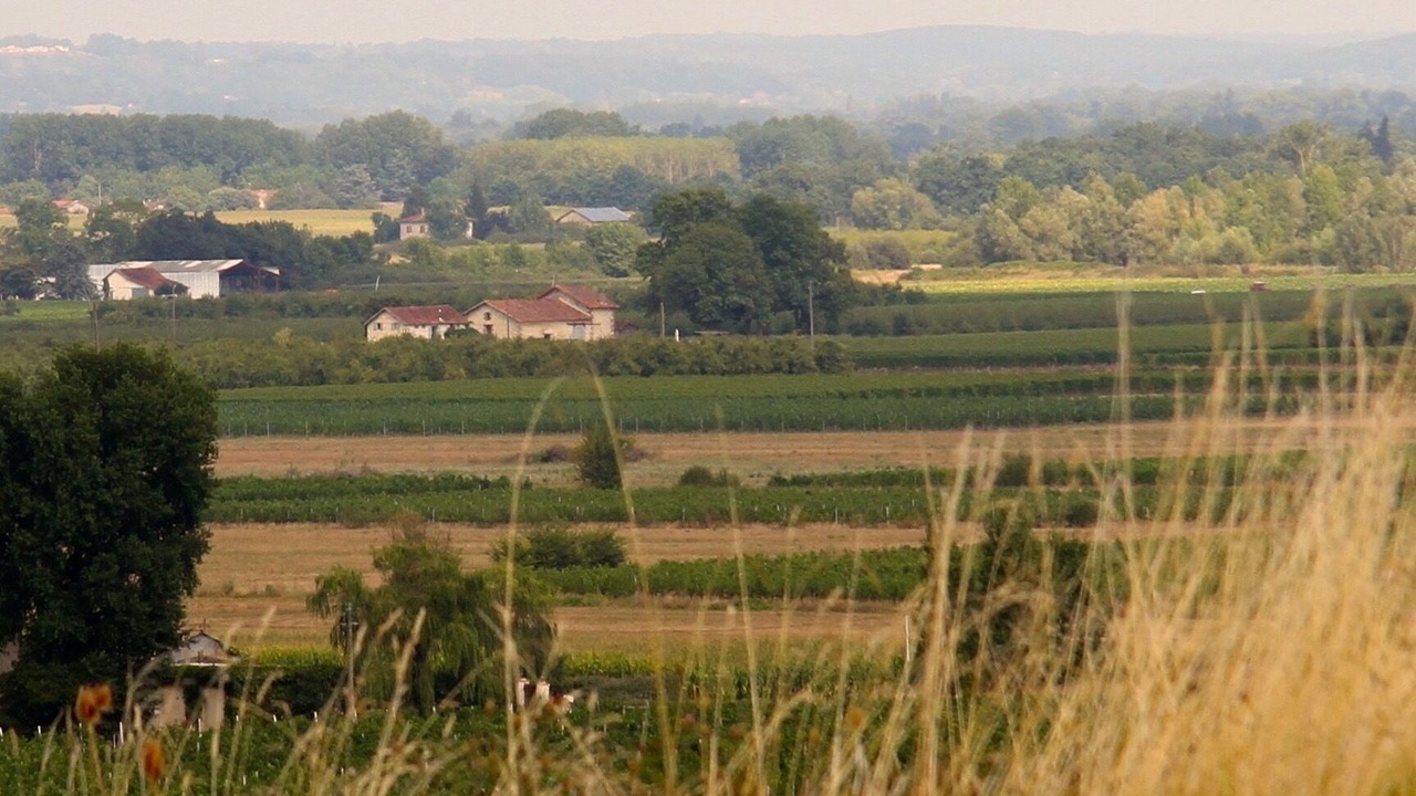 Photo of Outdoor in Saussignac