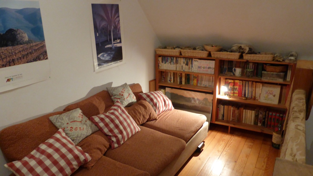 Photo of Livingroom in Lescun