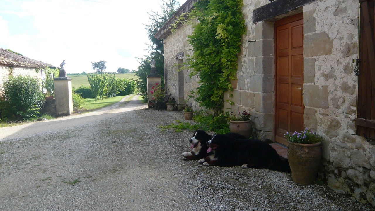 Photo of Others in Saint-Colomb-de-Lauzun