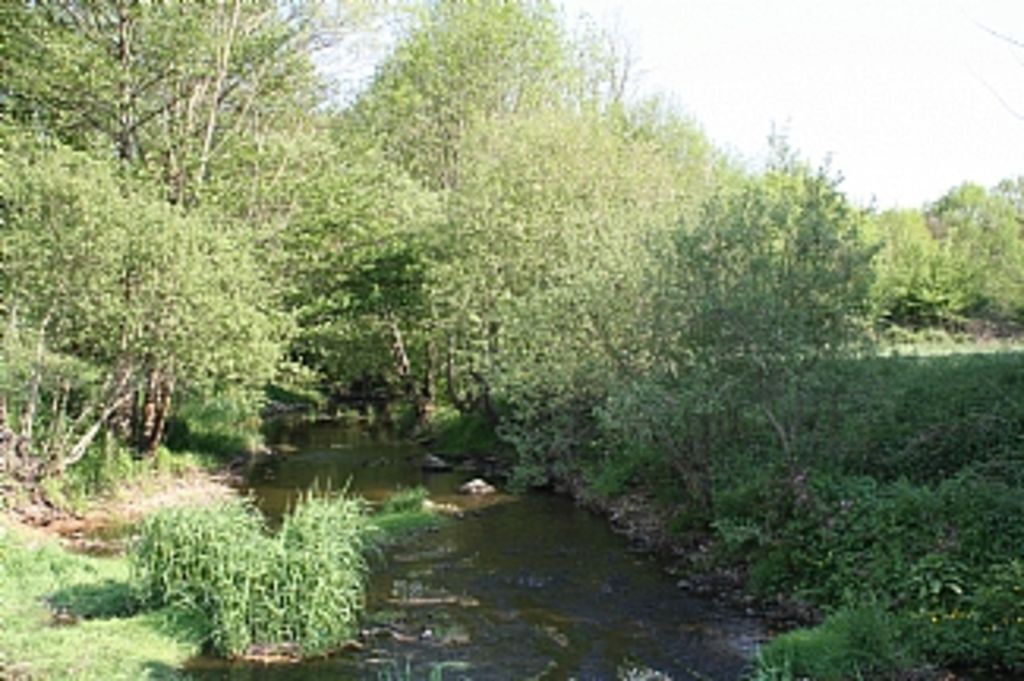 Photo of Others in Brigueil-le-Chantre