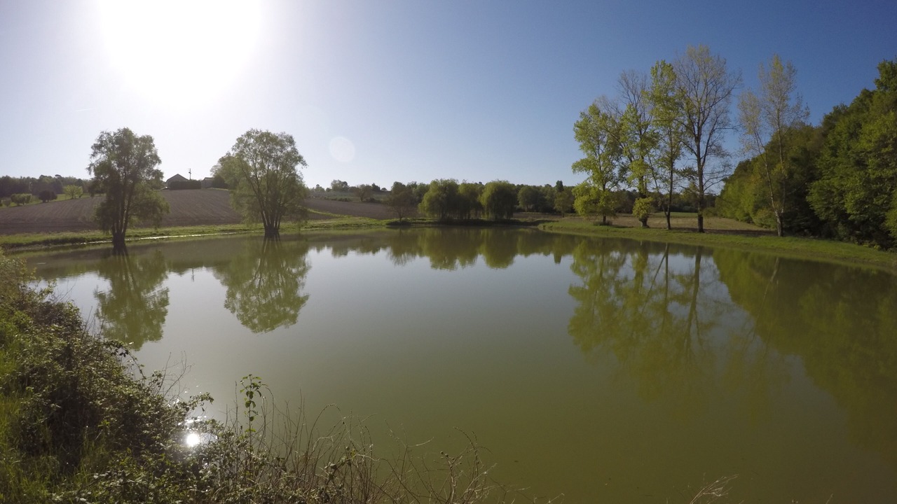 Photo of Outdoor in Bors de Montmoreau