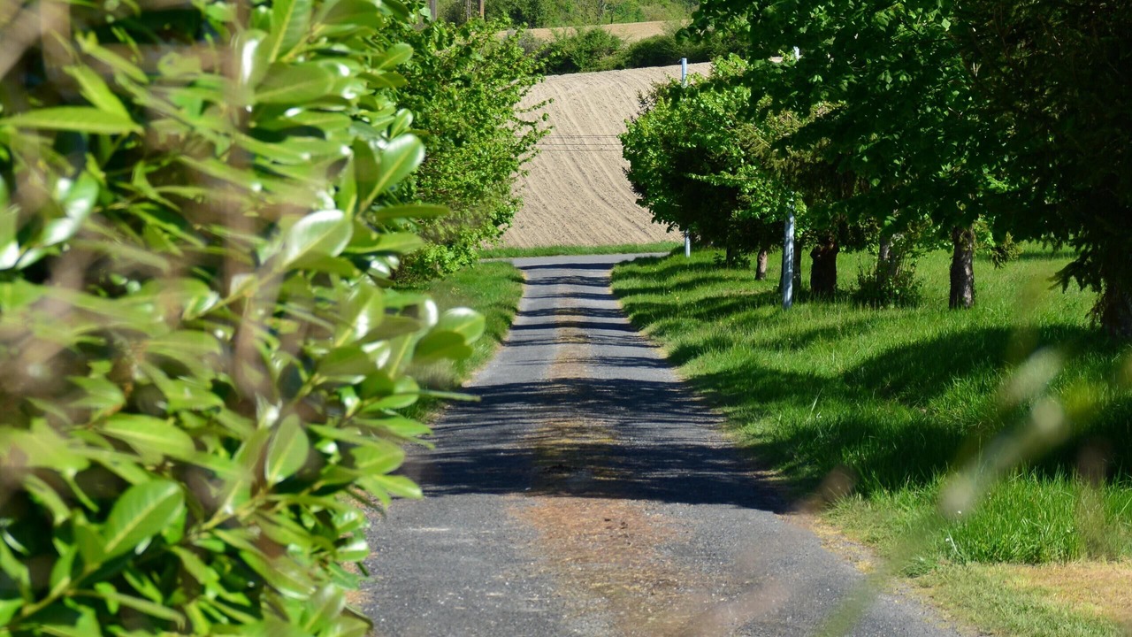 Photo of Others in Bors de Montmoreau
