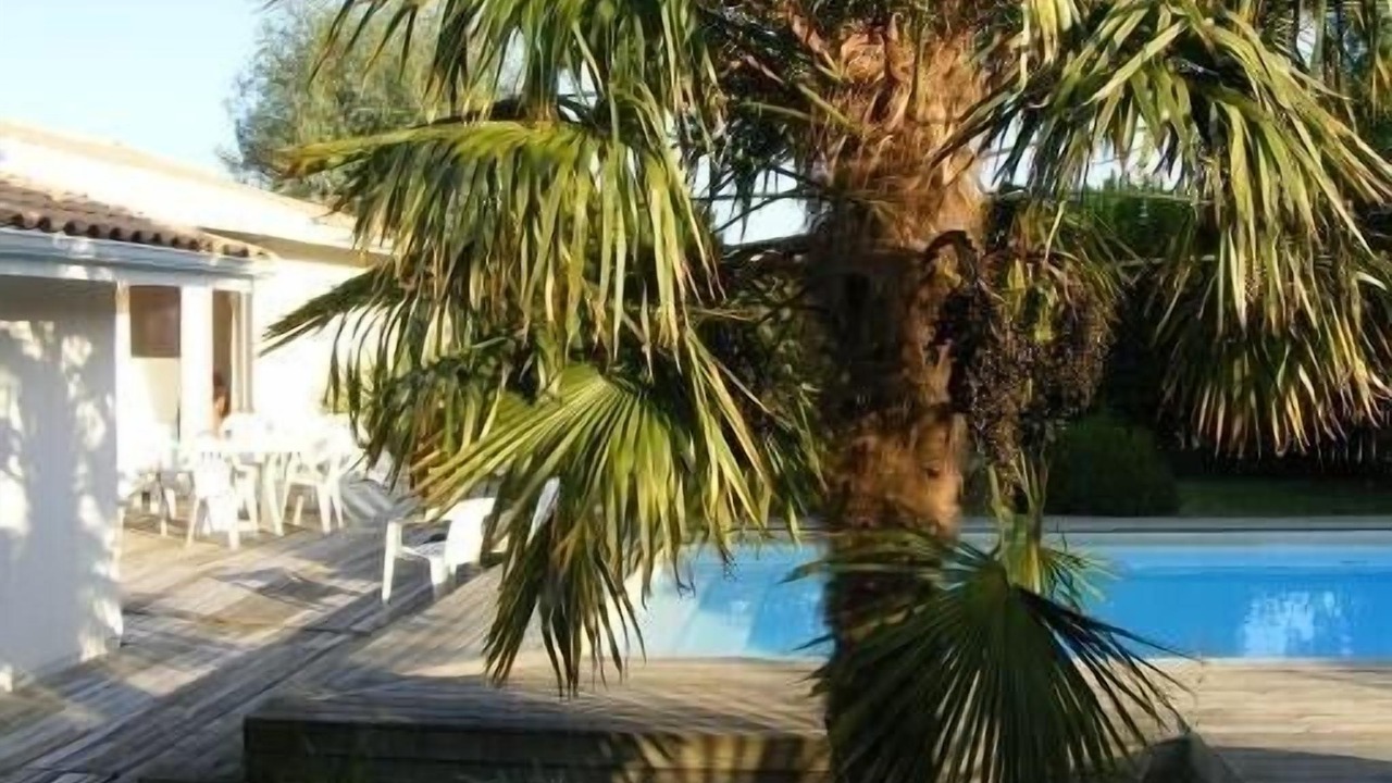 Photo of Outdoor in Lege-Cap-Ferret