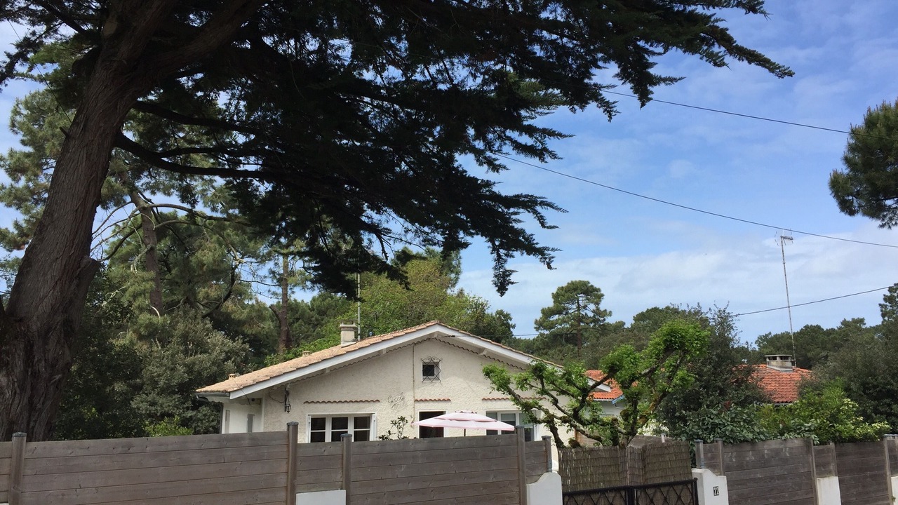 Photo of Outdoor in Pyla-sur-Mer