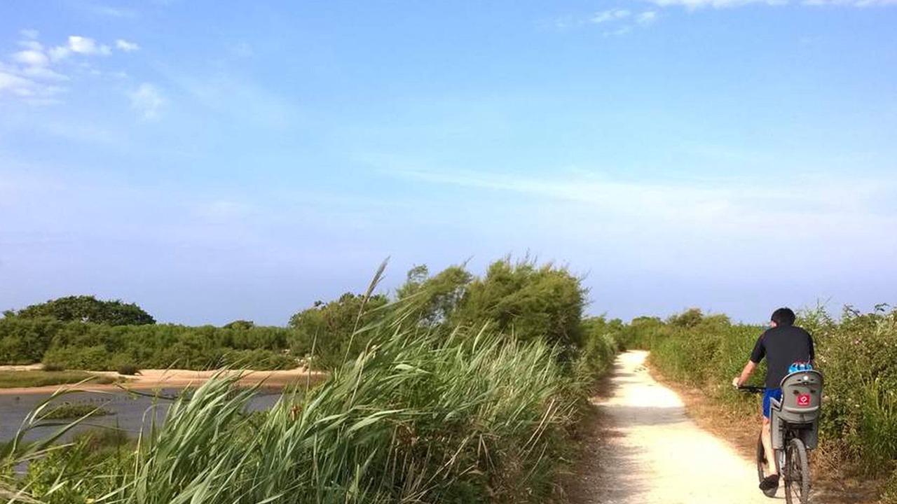 Photo of Outdoor in Gujan-Mestras