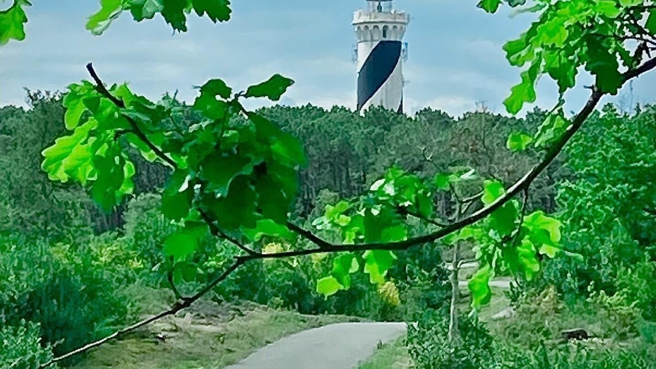 Photo of Outdoor in Contis-les-Bains