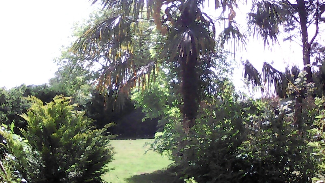 Photo of Outdoor in Jau-Dignac-et-Loirac