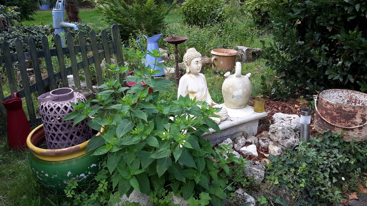 Photo of Outdoor in Jau-Dignac-et-Loirac