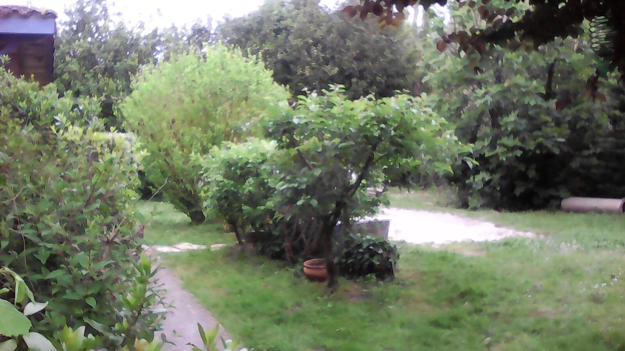 Photo of Outdoor in Jau-Dignac-et-Loirac