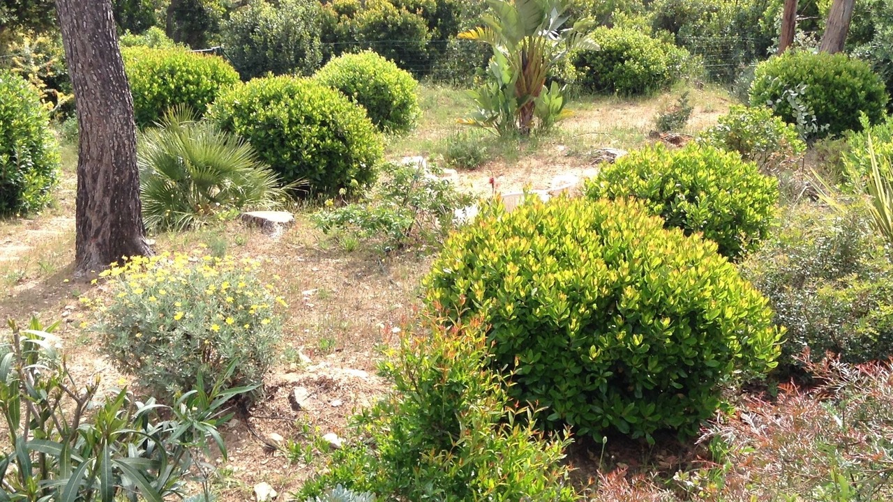 Photo of Outdoor in Cap Benat